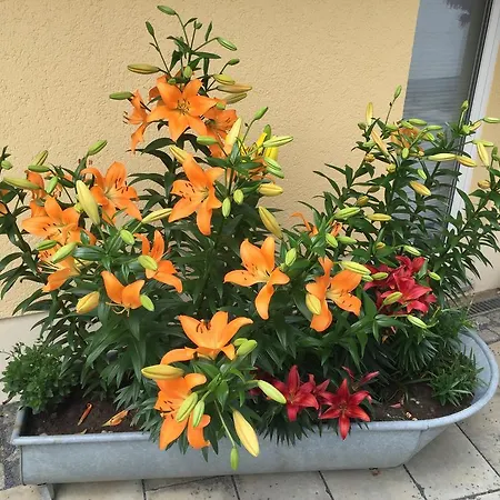 Landpension Bielatal - Raum