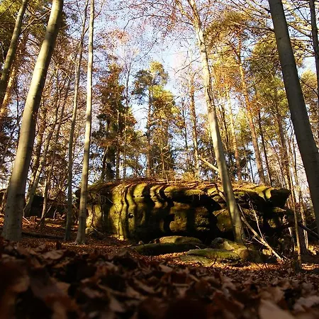 Landpension Bielatal -